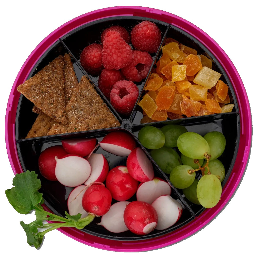 Carl Oscar BentoDISC (több színben)