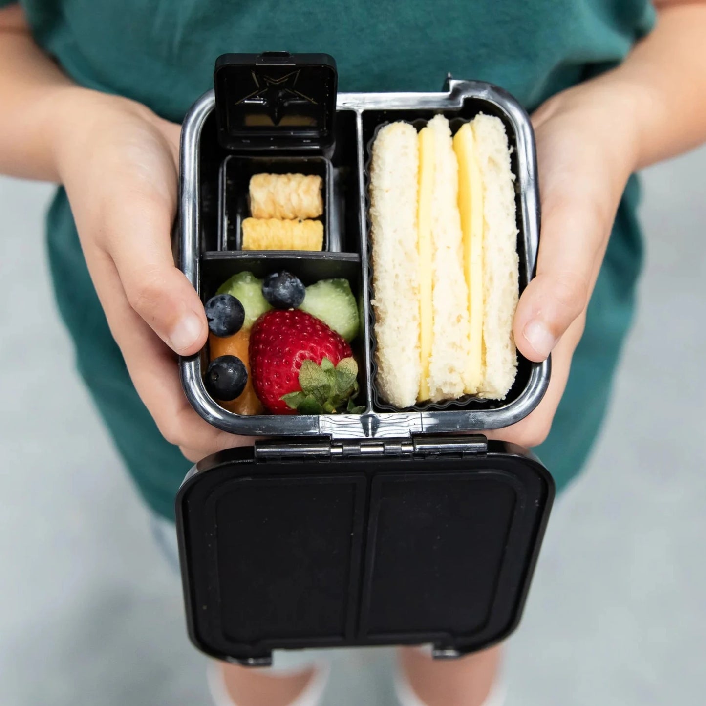 Bento Two - Dinosaur Land