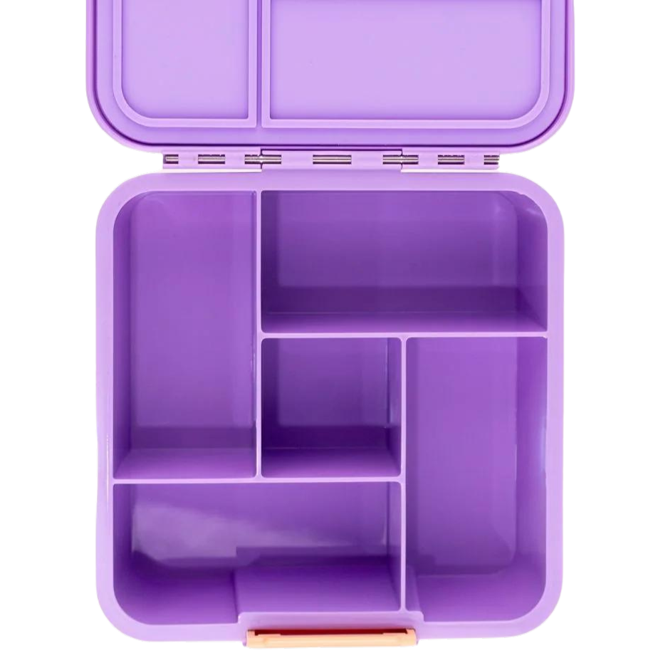 Bento Five - Rainbow Roller