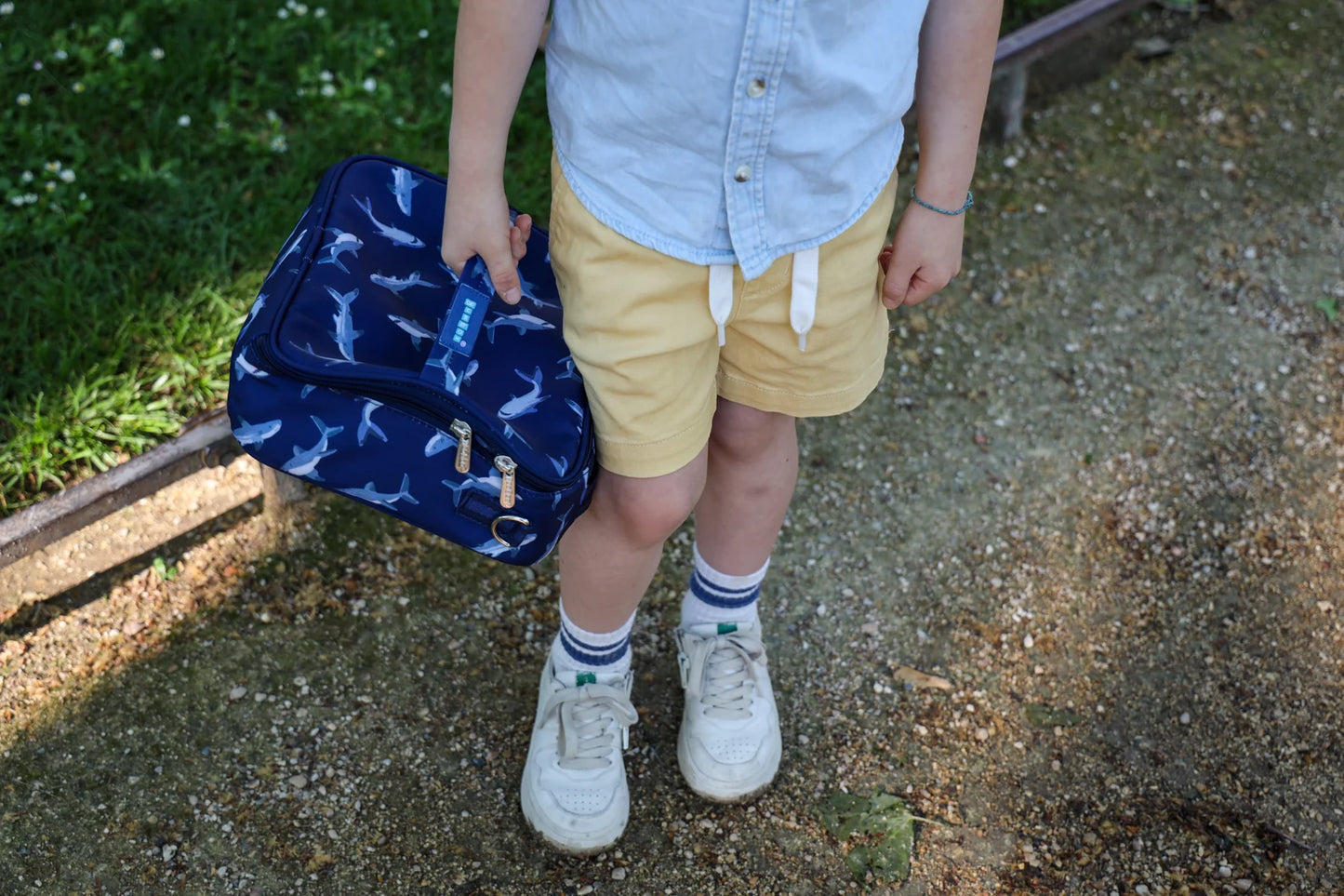 Yumbox Classic - Pacific Shark