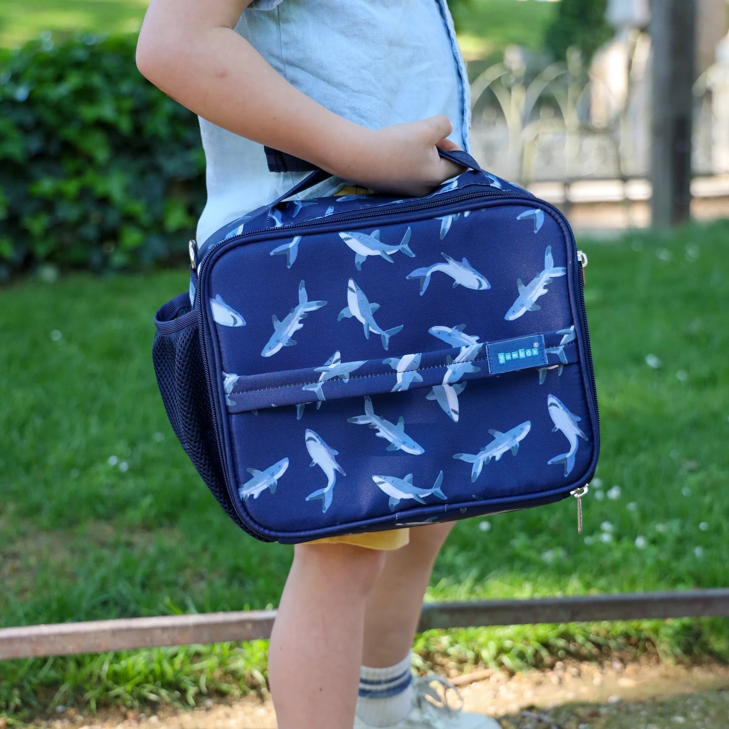 Yumbox Classic - Pacific Shark