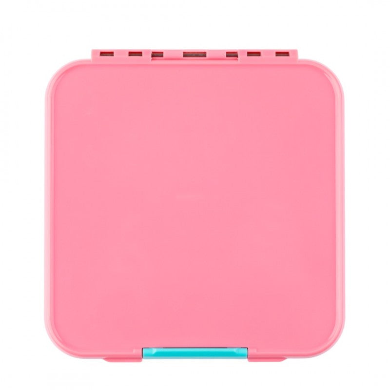 Bento Five - Strawberry