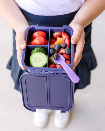 Bento Two - Confetti