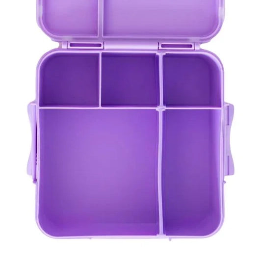 Bento Three Plus - Dusk